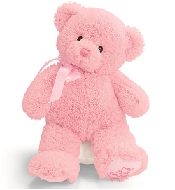 Baby Gund 10吋粉色 "My 1st Teddy" 泰迪熊